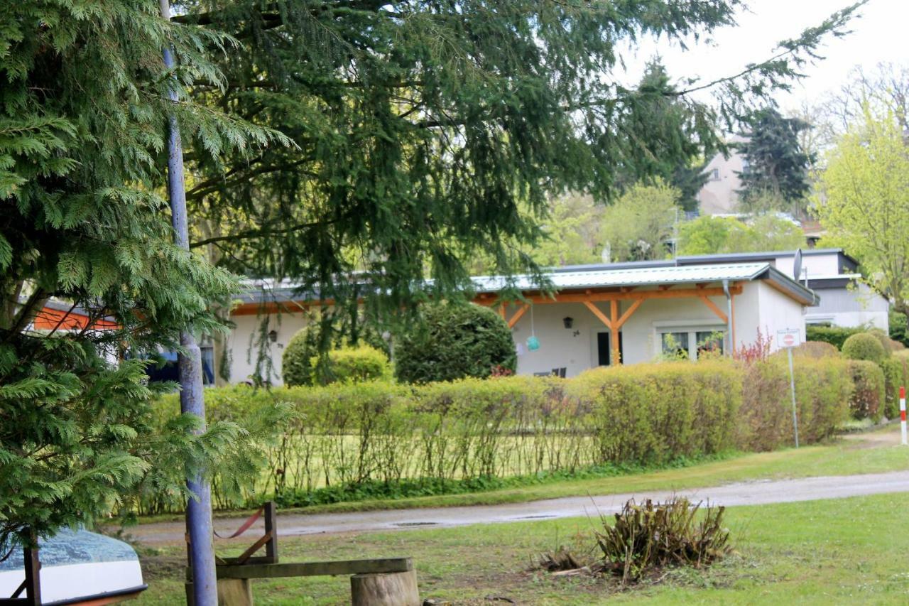 Haus 9 Villa Schwarz Екстериор снимка